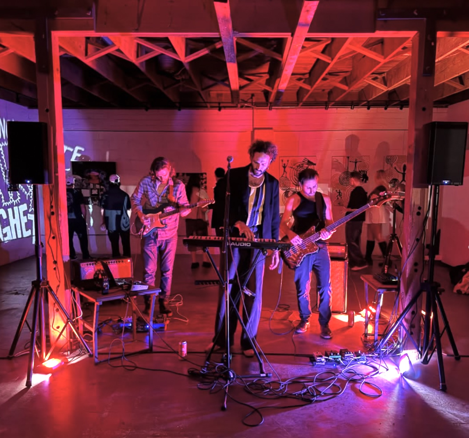 Ficus live band